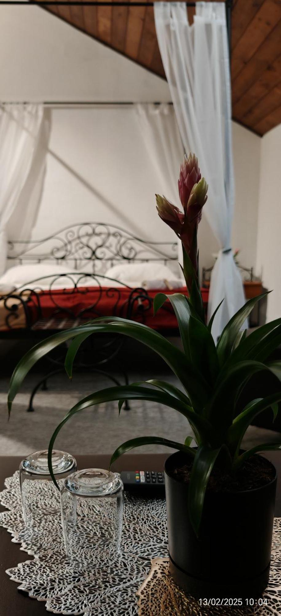Hotel Plzensky Dvur Фридек-Мистек Экстерьер фото